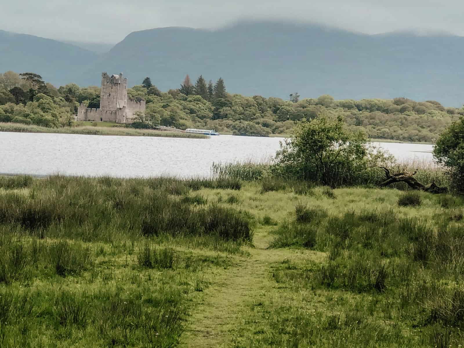 6 Things to do in Killarney National Park