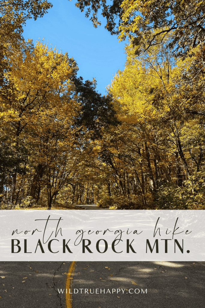 Exploring Black Rock Mountain State Park