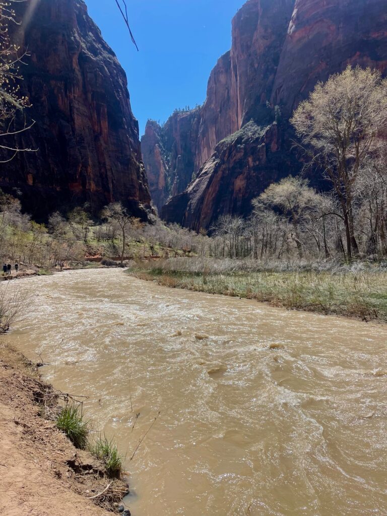 easy hikes zion national park