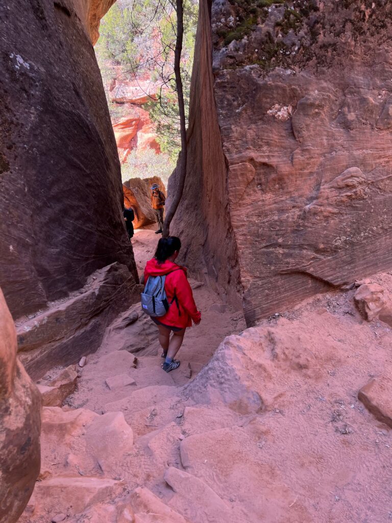 easy zion national park hikes