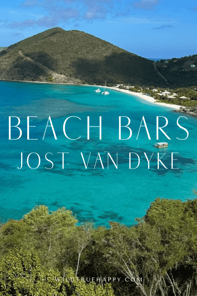 beach bars jost van dyke