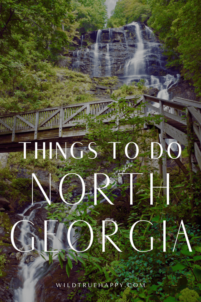 fun things to do in north georgia