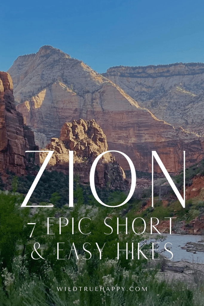 7 epic short and easy hikes in zion national park 