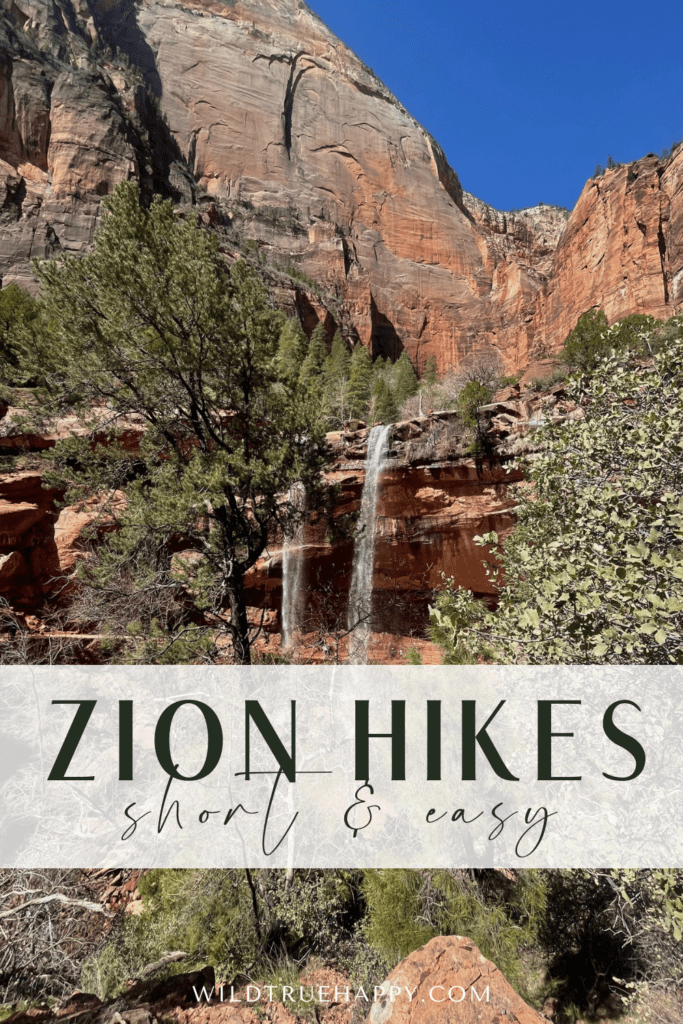 7 epic short and easy hikes in zion national park