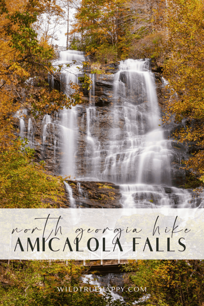 Amicalola Falls Trail: North Georgia Hike