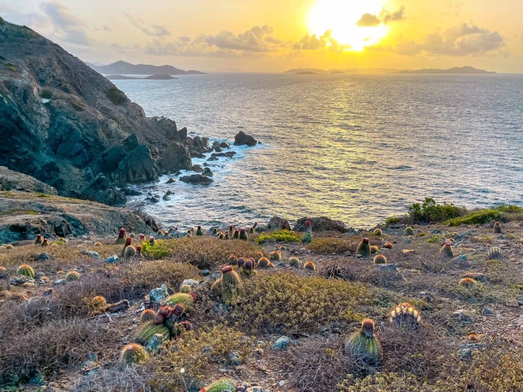 Coral Bay St John: Explore St. John's Quieter Side