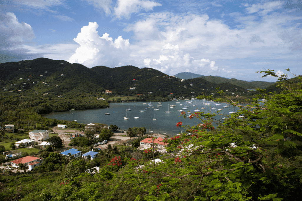 Coral Bay St John- Explore St. John's Quieter Side