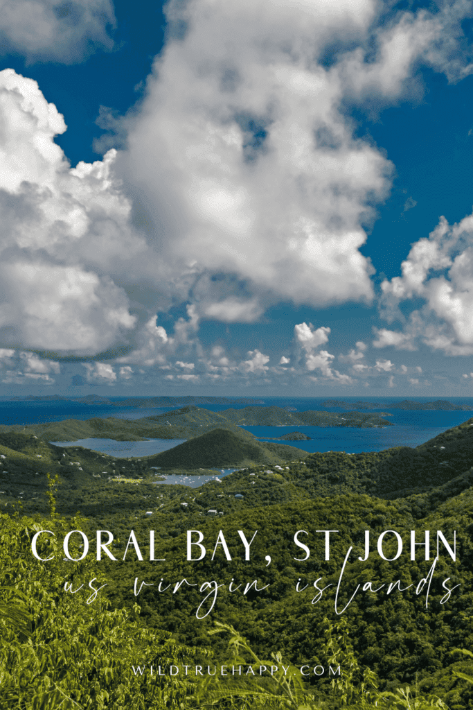 Coral Bay St John- Explore St. John's Quieter Side