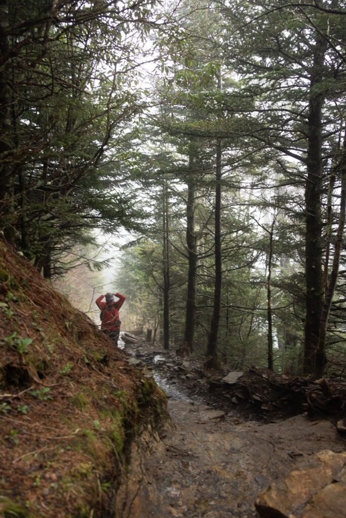 Alum Cave Trail