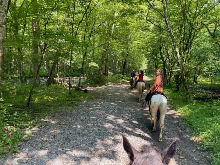 horseback riding great smoky mountain national park