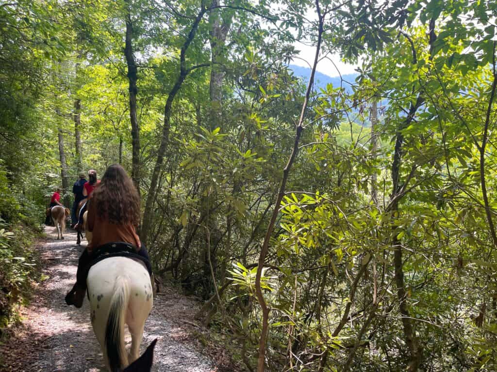 horseback riding smoky mountains national park