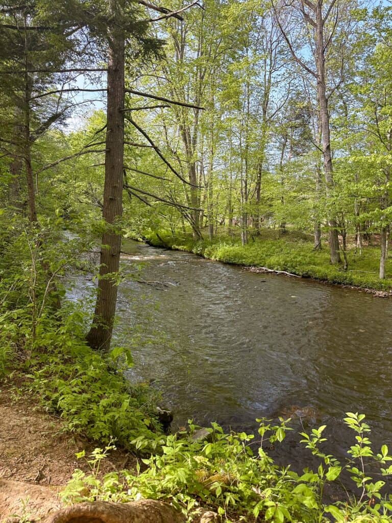 smoky mountains national park