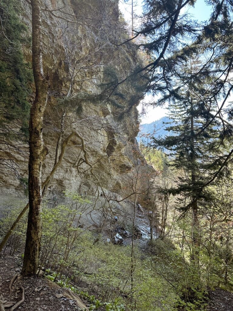 Alum Cave Trail, Alum Cave Bluffs, Great Smoky Mountain National Park