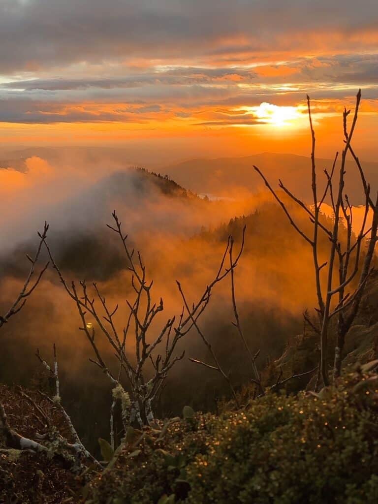 Mt LeConte Sunset