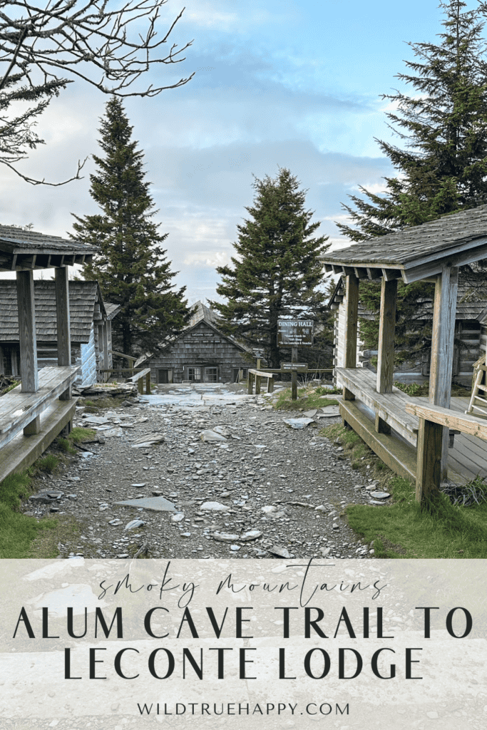 Alum Cave Trail to Leconte Lodge: A Smoky Mountain Hiking Adventure