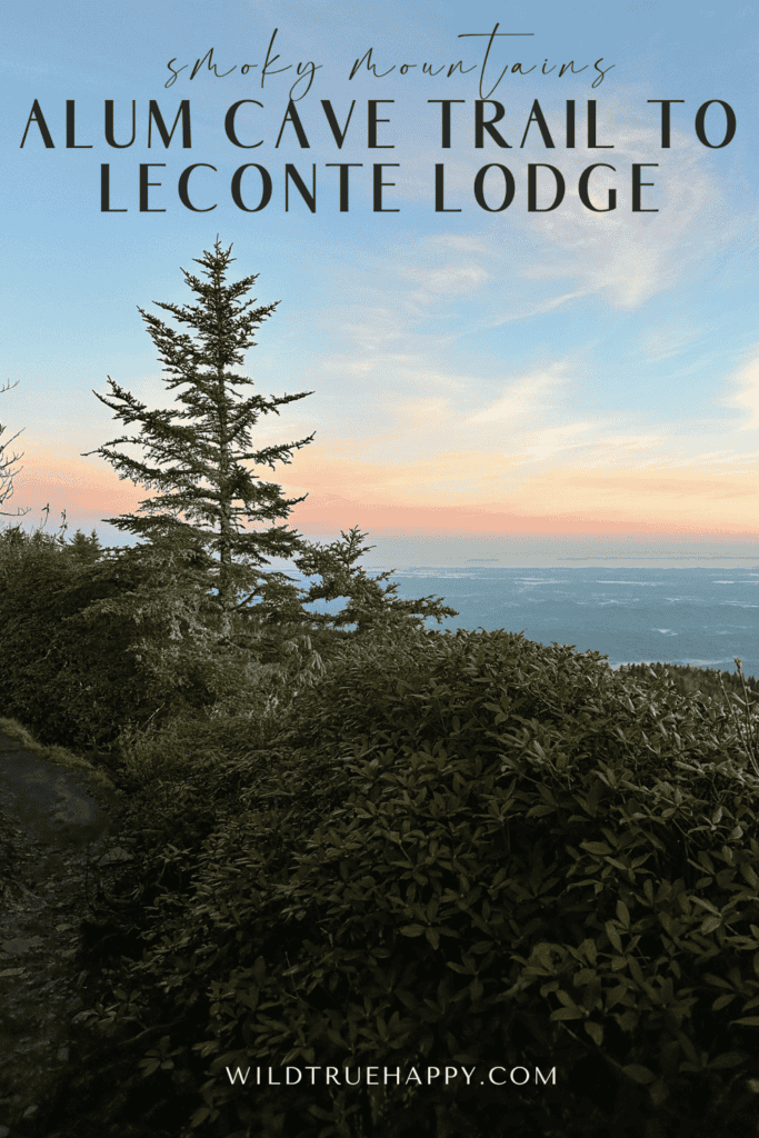 Alum Cave Trail to Leconte Lodge: A Smoky Mountain Hiking Adventure