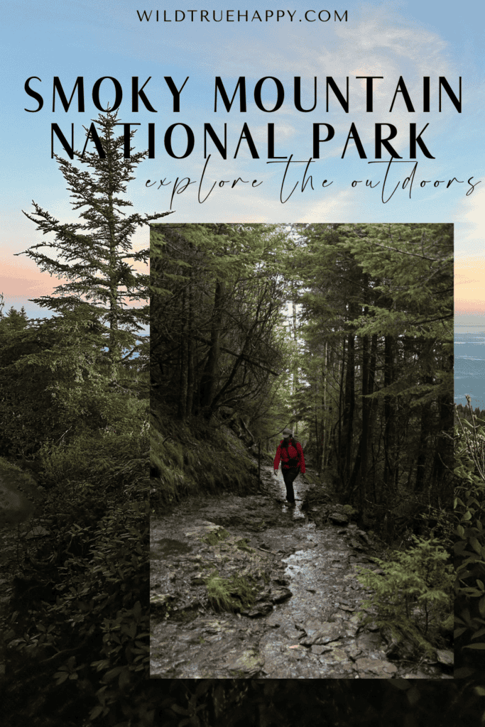 5 Ways to Explore the Outdoors in Smoky Mountains National Park