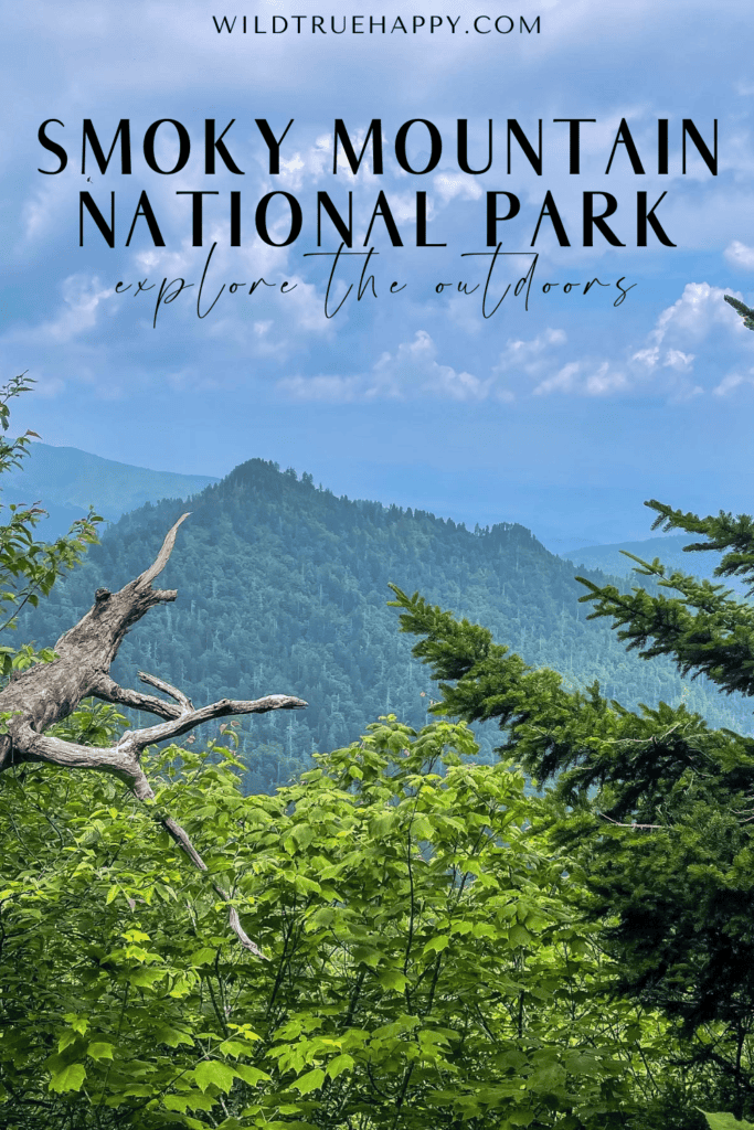 5 Ways to Explore the Outdoors in Smoky Mountains National Park